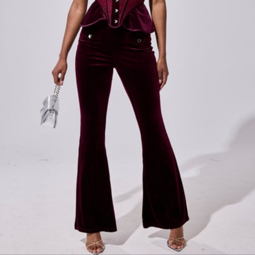 AKIRA Rich Burgundy Velvet Pants